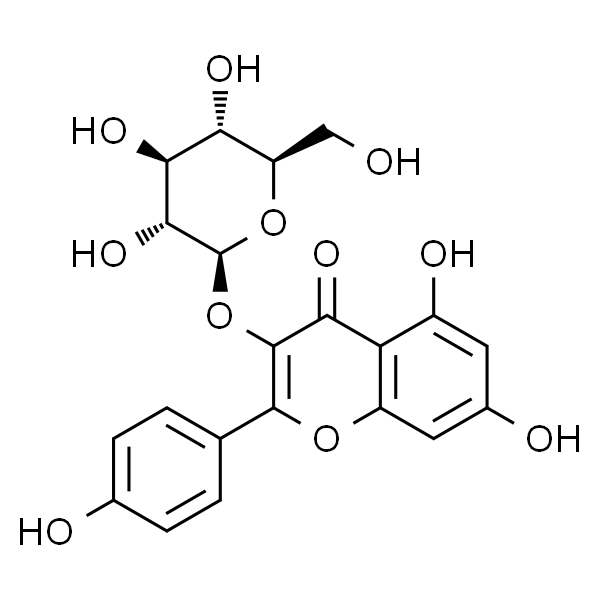 Astragalin  紫云英苷