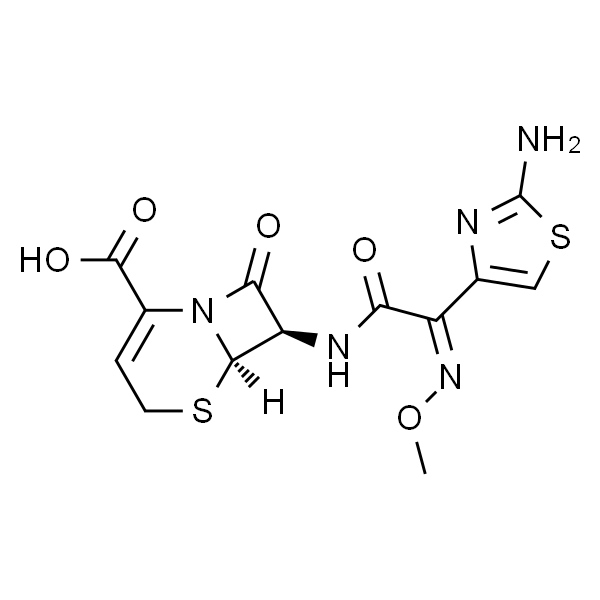 头孢唑肟
