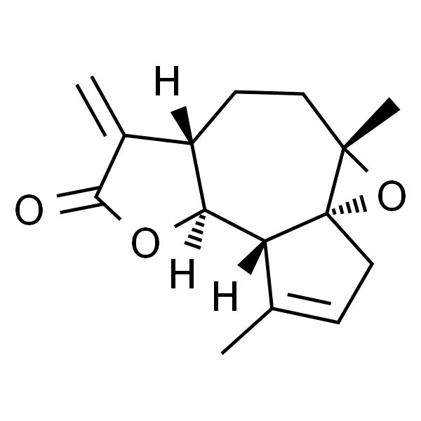 阿格拉宾