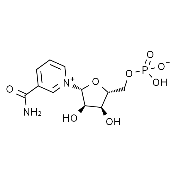 β-烟酰胺单核苷酸