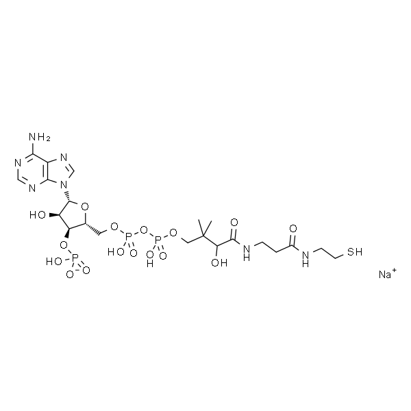 辅酶A钠盐水合物