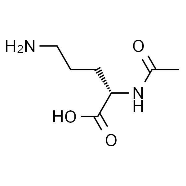 N-乙酰鸟氨酸