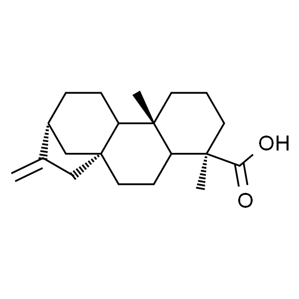 贝壳杉烯酸