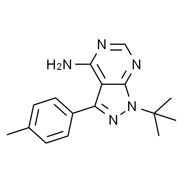 PP1；蛋白磷酸酯酶-1(抗原)