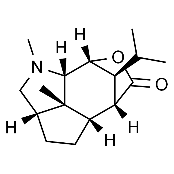 Dendrobine；石斛碱