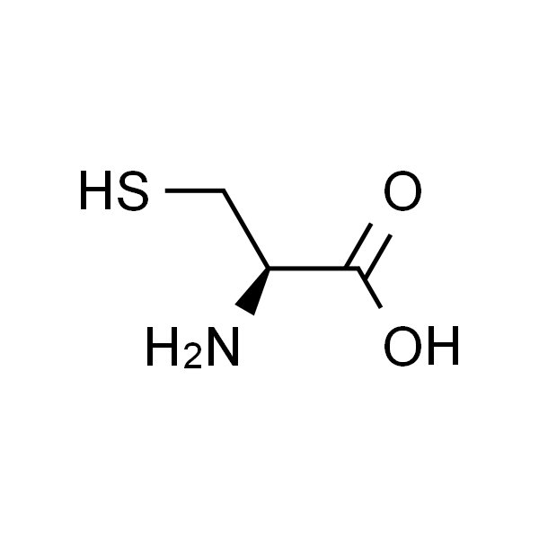 L-Cysteine；L-半胱氨酸