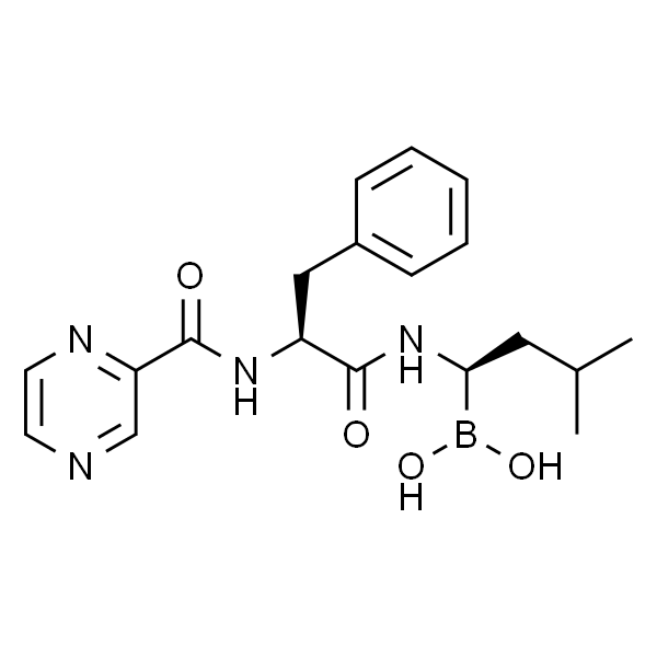 Bortezomib；硼替佐米