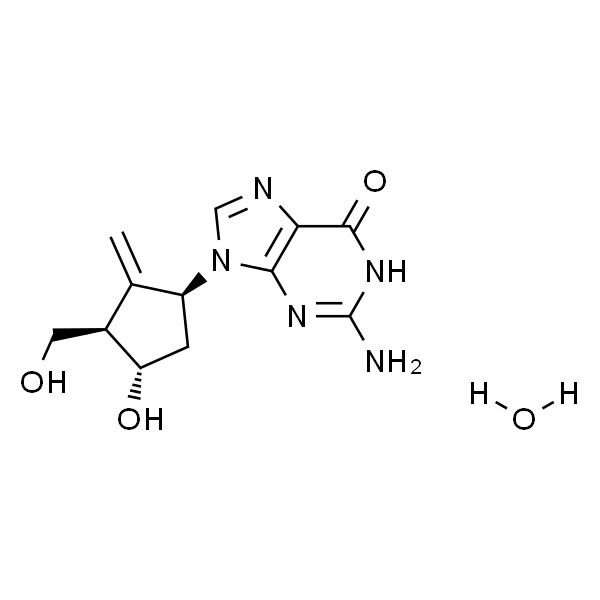 Entecavir monohydrate；恩替卡韦一水合物