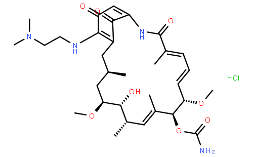 Alvespimycin hydrochloride；阿螺旋霉素盐酸盐