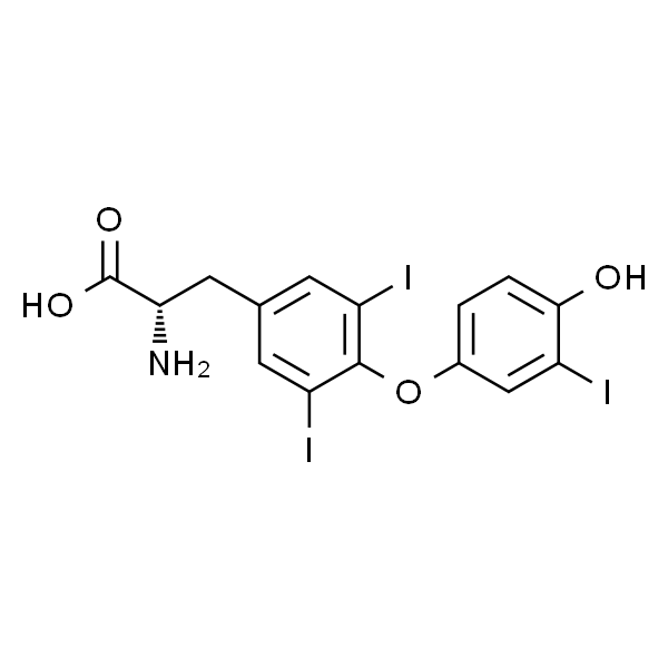Triiodothyronine；三碘甲状腺氨酸