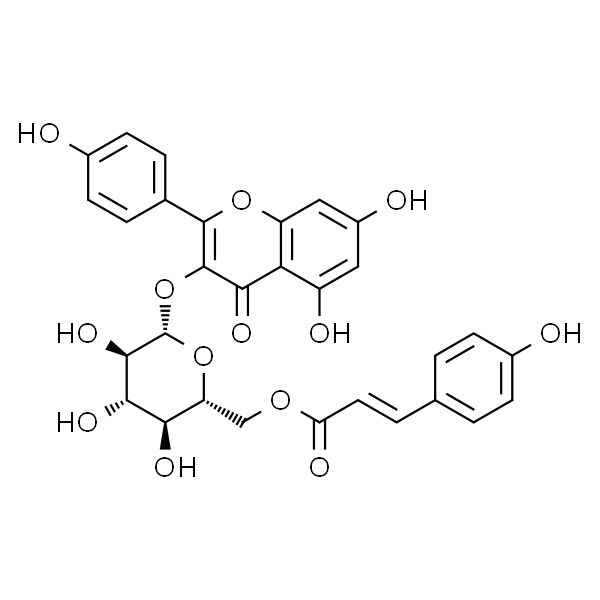 Tiliroside；银椴苷