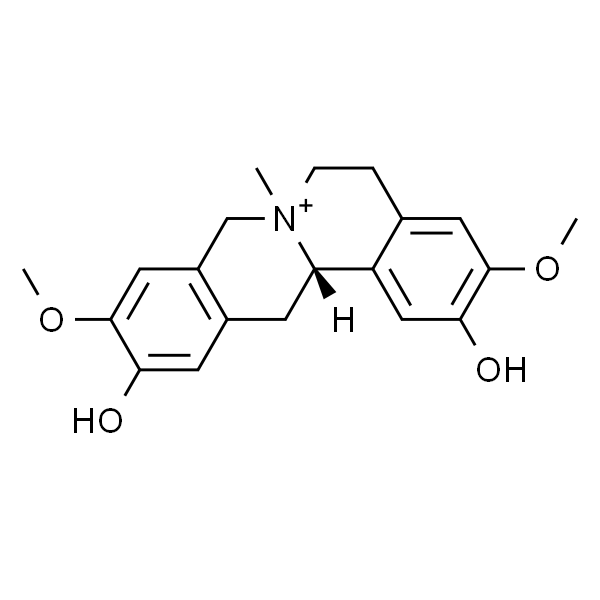 Phellodendrine；黄柏碱