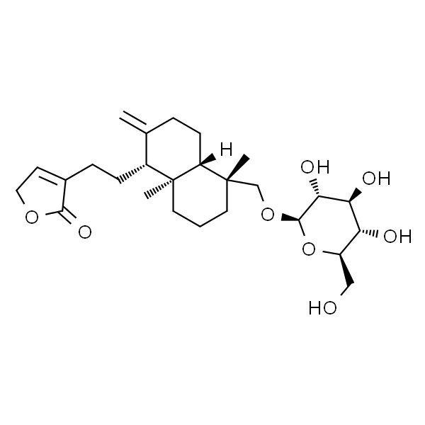 Neoandrographolide；新穿心莲内酯