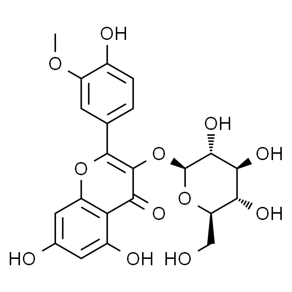 Isorhamnetin-3-O-β-D-Glucoside；异鼠李素-3-O-葡萄糖苷