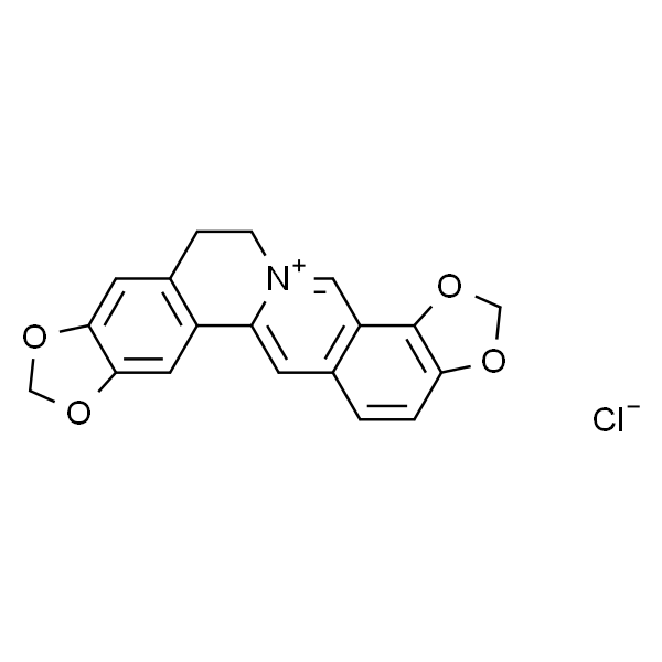 Coptisine chloride；盐酸黄连碱