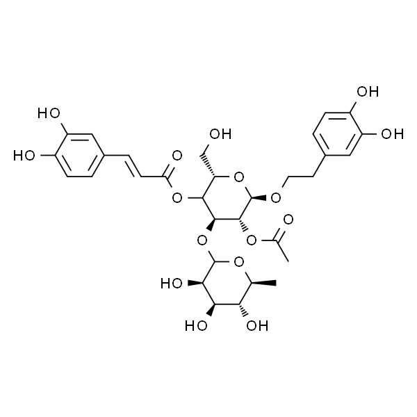 2-Acetylacteoside；2-乙酰基洋丁香酚苷