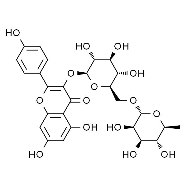 Kaempferol-3-o-rutinoside；山柰酚-3-O-芸香糖苷