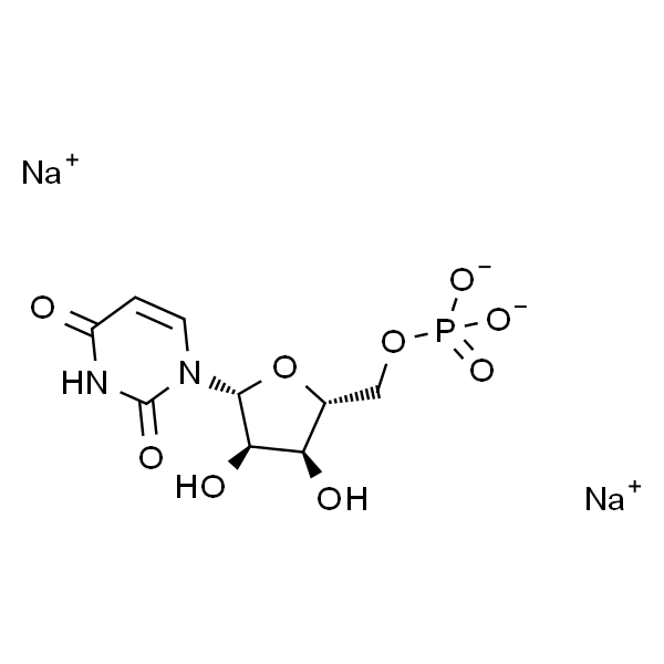 Uridine 5'-monophosphate disodium salt；尿苷单磷酸二钠盐