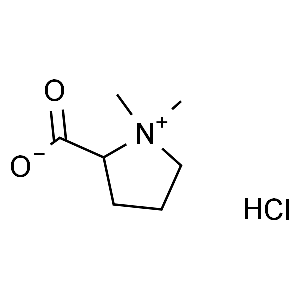 Stachydrine hydrochlori；盐酸水苏碱