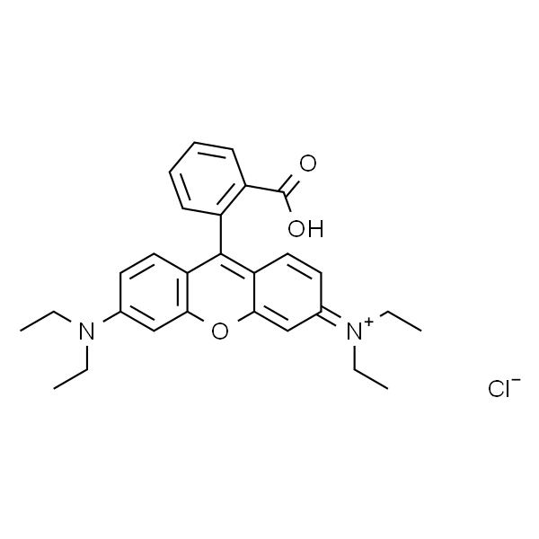 Rhodamine B；罗丹明B