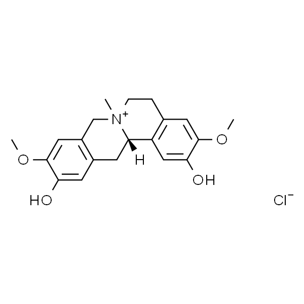 Phellodendrine chloride；盐酸黄柏碱