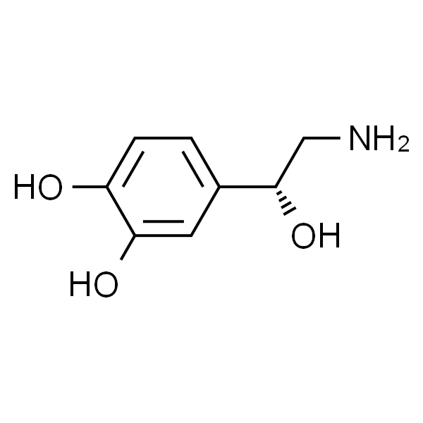 Norepinephrine；去甲肾上腺素
