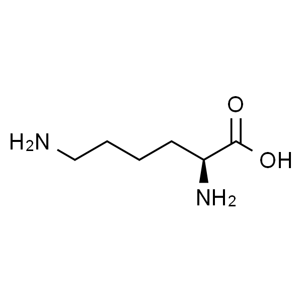 L-Lysine；L-赖氨酸