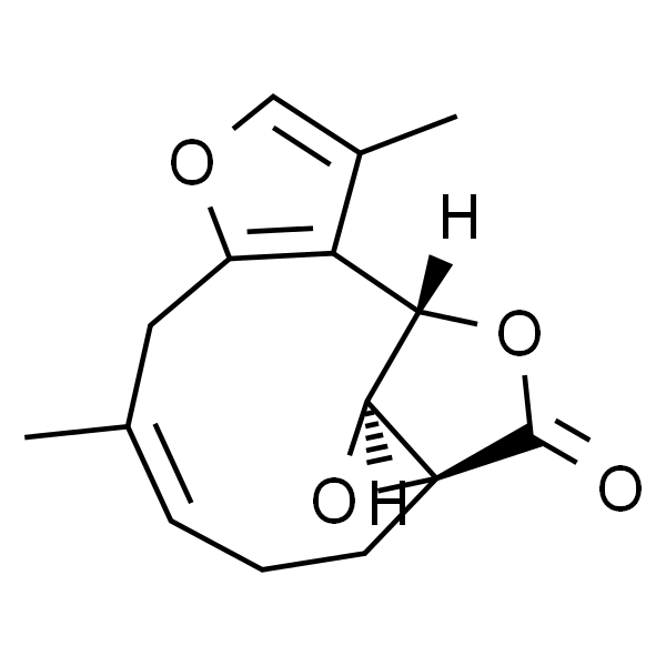 Linderane；乌药醚内酯