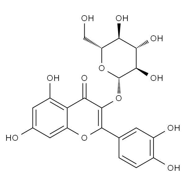 Isoquercitrin；异槲皮苷