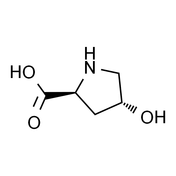 L-Hydroxyproline；L-羟脯氨酸