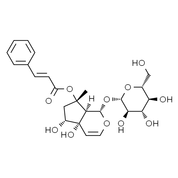 Harpagoside；哈巴俄苷