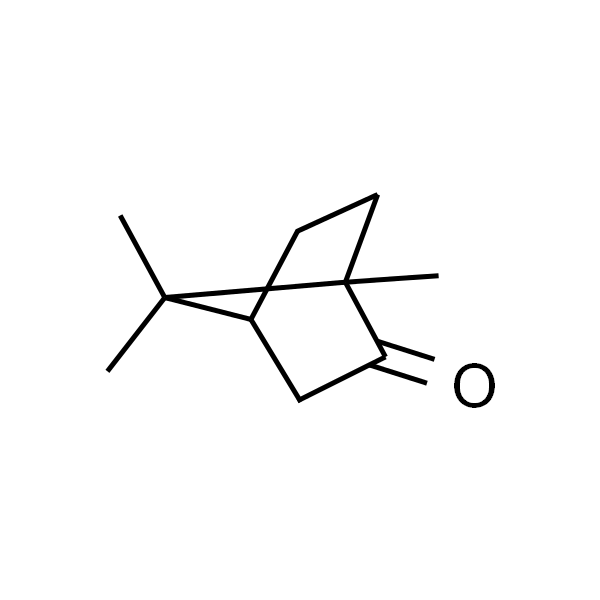 Camphor；樟脑