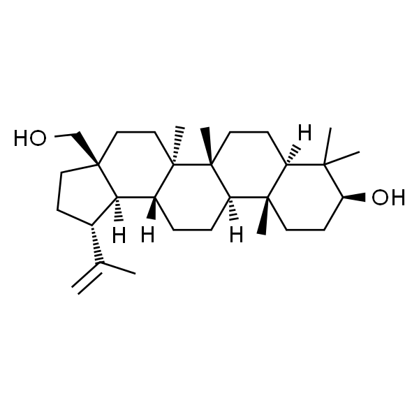 Betulin；白桦脂醇