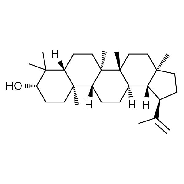 Lupeol   羽扇豆醇 标准品