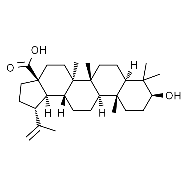 Betulinic acid 白桦脂酸 标准品