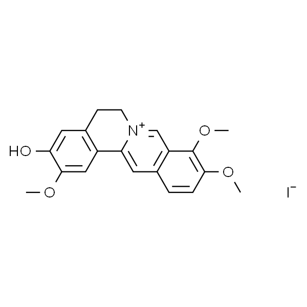 Jatrorrhizine  药根碱 标准品