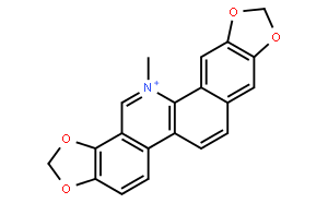 Sanguinarine   血根碱 标准品