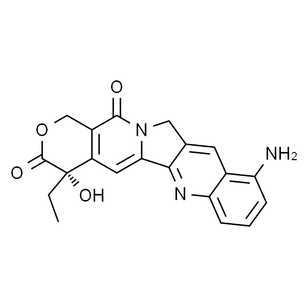 9-Aminocamptothecin 9-氨基喜树碱  标准品