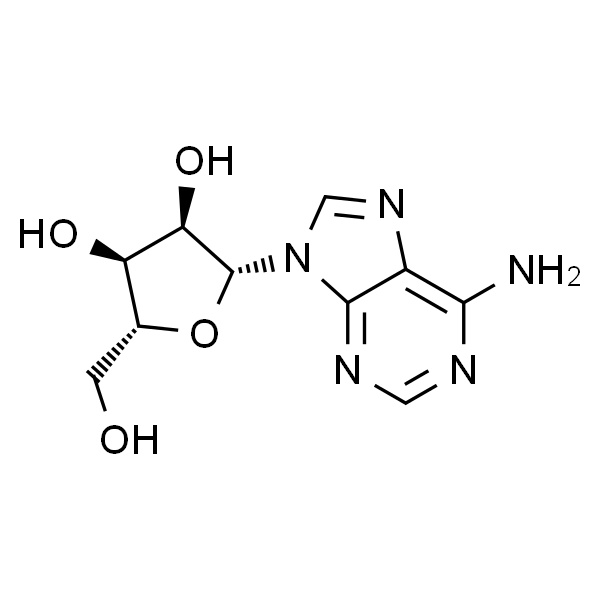 Adenosine 腺苷 标准品