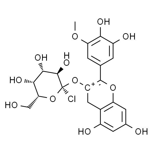 矮牵牛素-3-O-半乳糖苷 标准品
