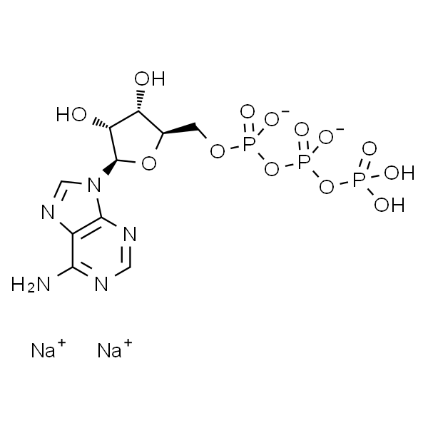 ATPNa2   三磷酸腺苷二钠 标准品