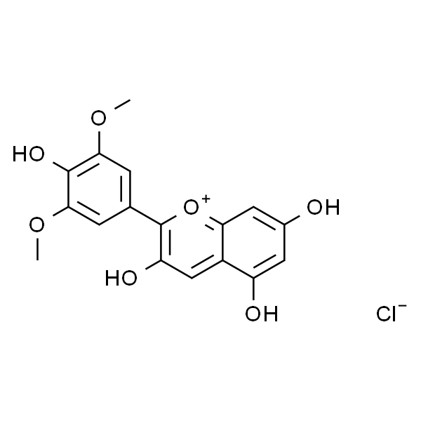 氯化锦葵素 标准品