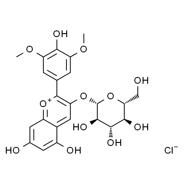 锦葵素-3-O-葡萄糖苷 标准品