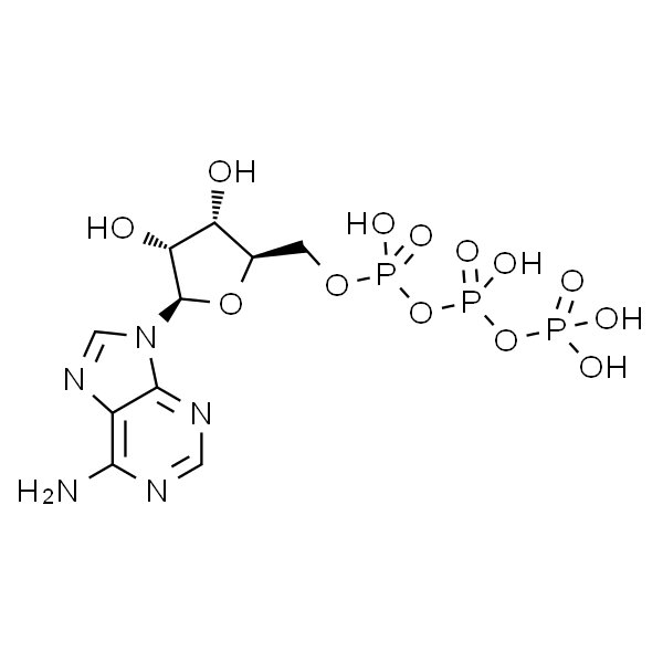 腺苷-5'-三磷酸 标准品