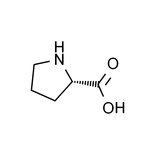 L-Proline  L-脯氨酸 标准品