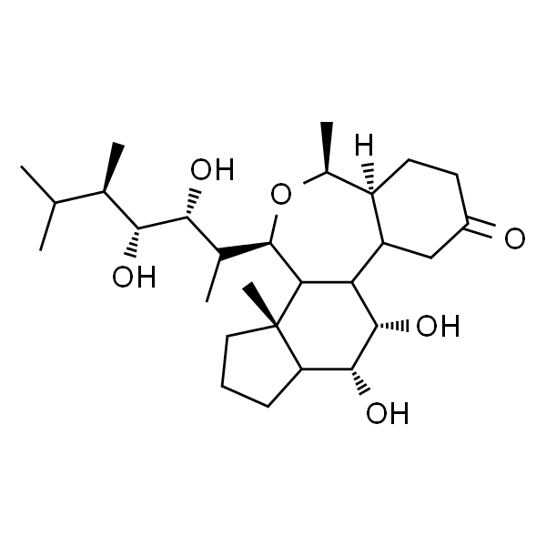 24-表油菜素内酯 标准品