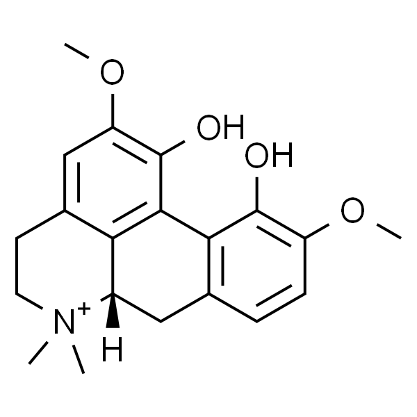 Magnoflorine chloride   木兰花碱 标准品