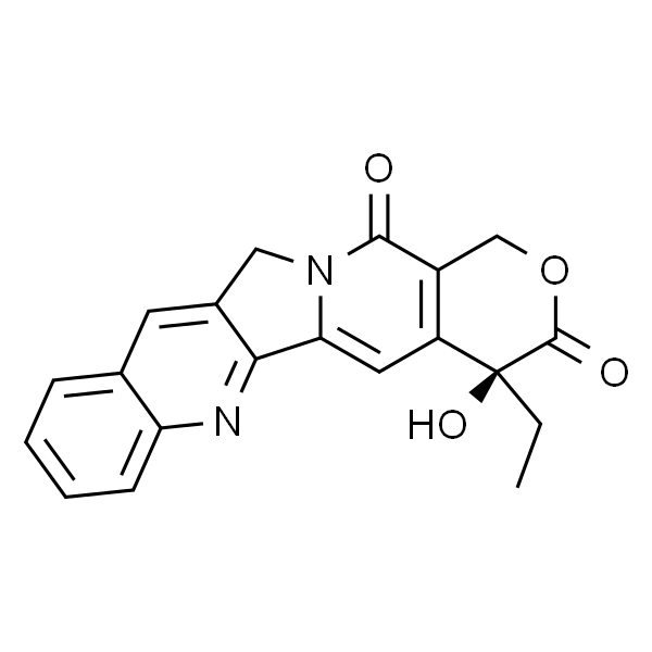 喜树碱 标准品