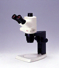 徕卡S系列立体显微镜-S系列