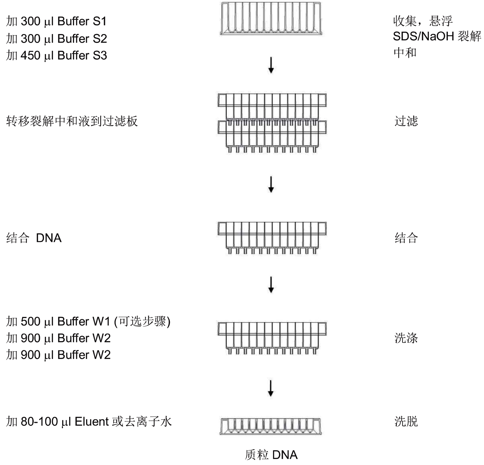 UE-96质粒DNA试剂盒 货号:               UE-96-P-4/UE-96-P-24  规格:               4T/24T